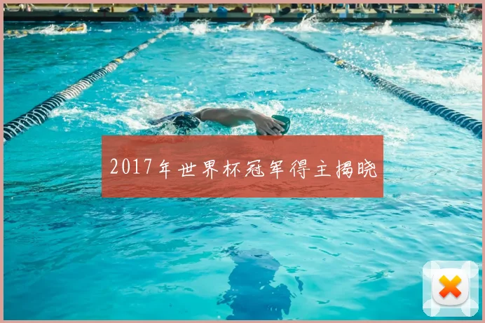 2017年世界杯冠军得主揭晓