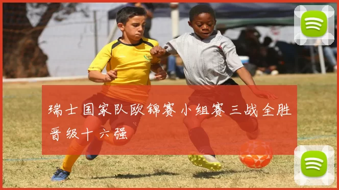 瑞士国家队欧锦赛小组赛三战全胜晋级十六强