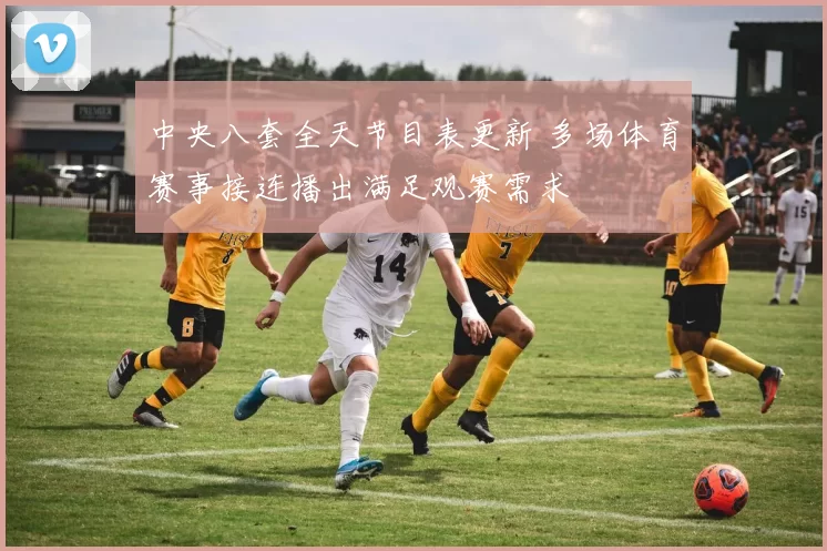 中央八套全天节目表更新 多场体育赛事接连播出满足观赛需求