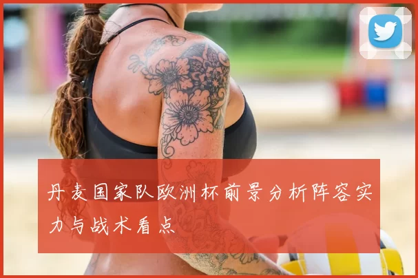 丹麦国家队欧洲杯前景分析阵容实力与战术看点