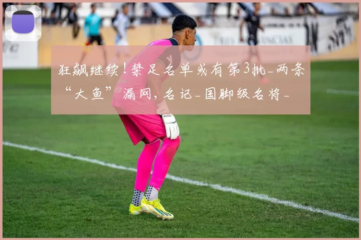 狂飙继续!禁足名单或有第3批_两条“大鱼”漏网,名记_国脚级名将_